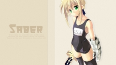 Fate Stay night Chibi