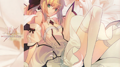 Fate stay night Fate