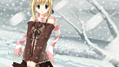 Fate stay night Fate