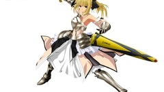 Fate stay night Fate