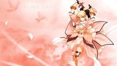 Fate stay night Fate