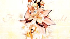 Fate stay night Fate