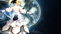 Fate stay night Fate