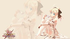 Fate stay night Fate