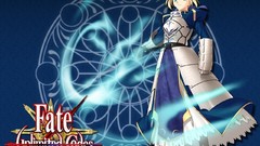 Fate stay night fate