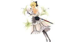 Fate stay night Fate