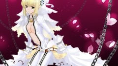 Fate stay night Fate EXTRA