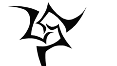 Fate stay night fate series