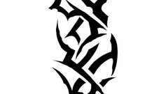 Fate stay night fate series