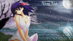 Fate stay night matou