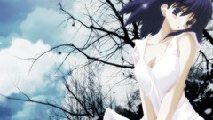 Fate stay night matou