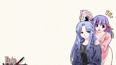 Fate stay night matou