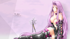 Fate stay night Rider