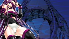 Fate stay night Rider