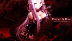 Fate stay night Rider