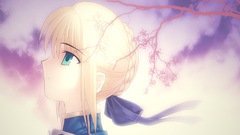 Fate stay night saber