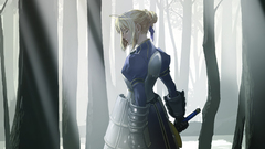 Fate stay night saber