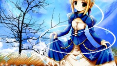 Fate stay night saber