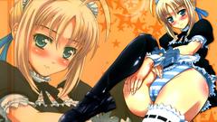 Fate stay night saber
