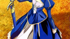 Fate stay night saber