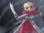 Fate stay night saber