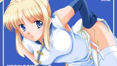 Fate stay night saber