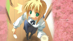 Fate stay night saber