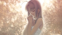 Fate stay night saber