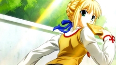 Fate stay night saber