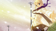 Fate stay night saber