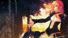 Fate stay night saber