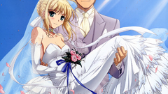 Fate stay night saber