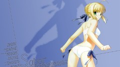 Fate stay night saber