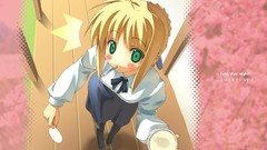 Fate stay night saber