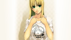 Fate stay night saber