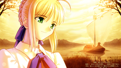 Fate stay night saber