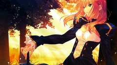 Fate stay night saber