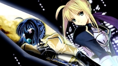 Fate stay night saber