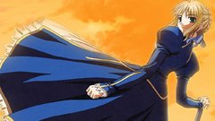 Fate stay night saber