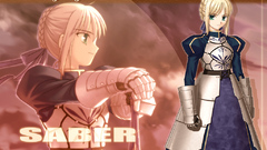 Fate stay night saber