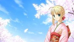 Fate stay night saber