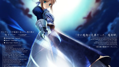 Fate stay night saber