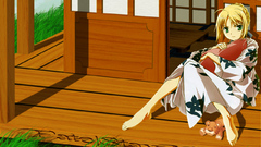 Fate Stay night saber