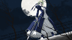 Fate Stay night saber
