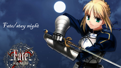 Fate Stay night saber