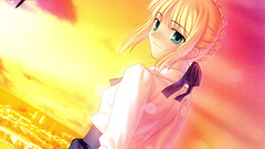 Fate Stay night saber