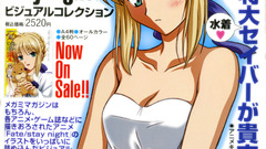 Fate Stay night saber