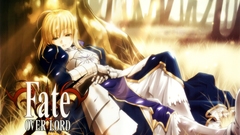 Fate Stay night saber