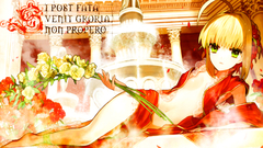 Fate Stay night saber