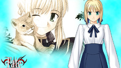 Fate Stay night saber